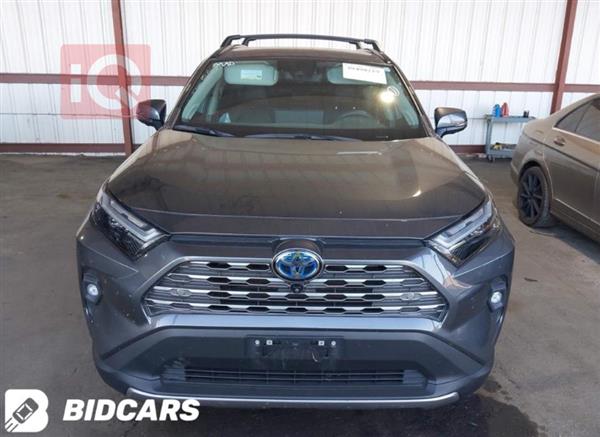 Toyota for sale in Iraq
